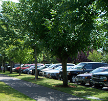 decorative photo of parked cars