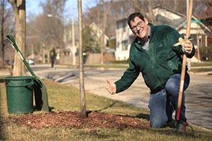 photo of the right way to mulch a tree